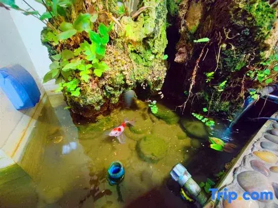 Fanchen Homestay (Luzhou Dongsheng Road)