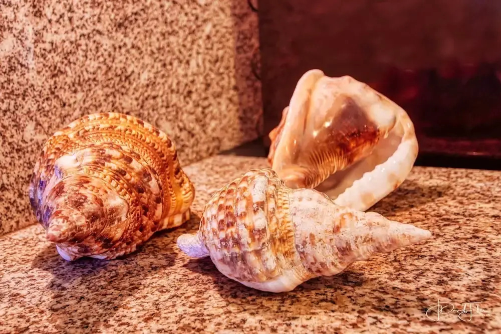 Rustica e charmosa Casa em JacumãRN