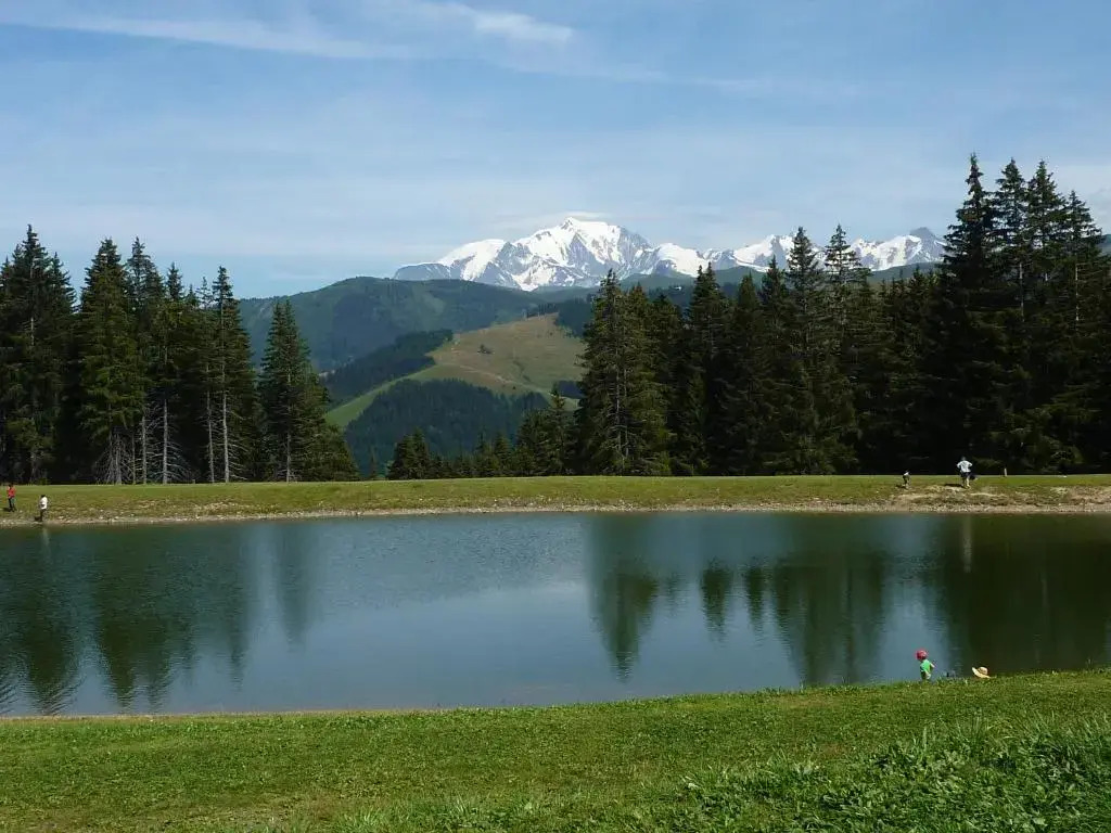 Chalet Le Starfu
