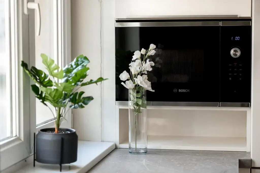 THE DREAM Apartment - Near Radisson Hotel