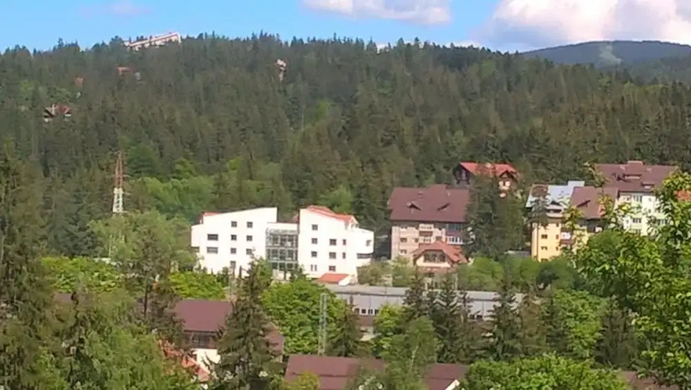 Mountain Breeze