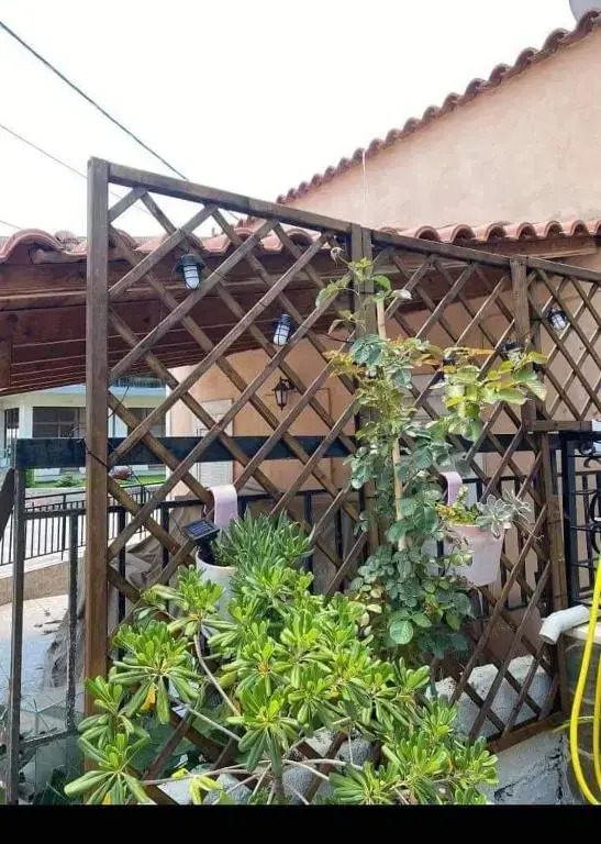 Sady's House