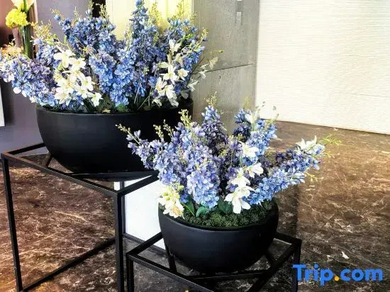 Home Inn Changchun Changchun Street