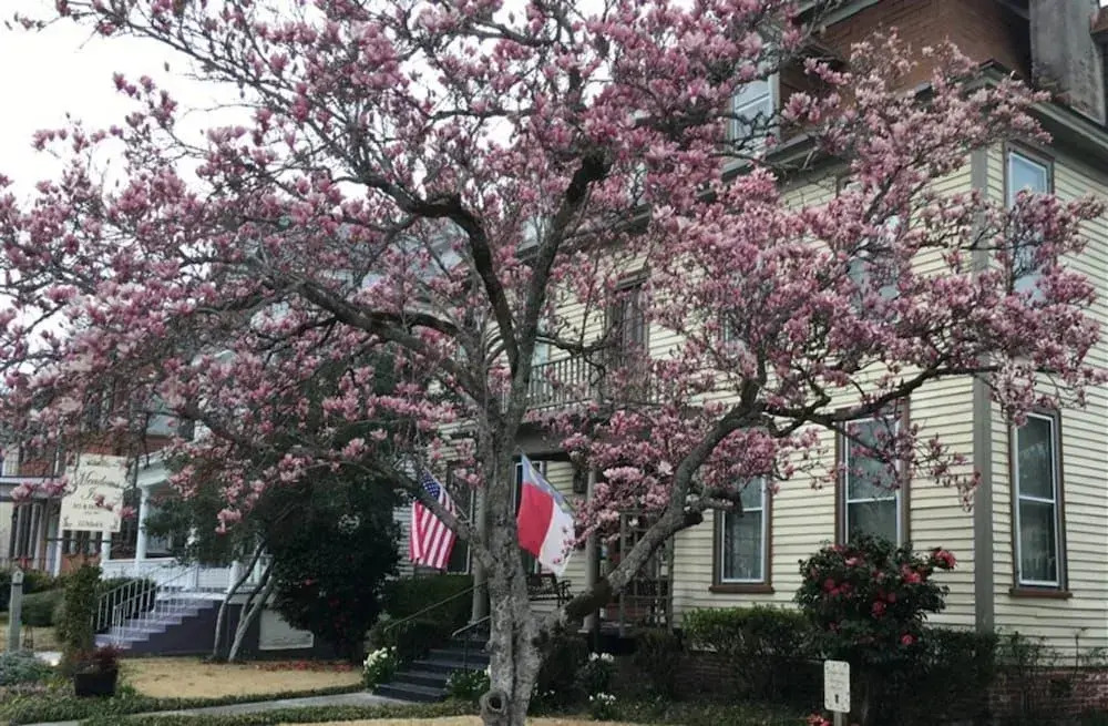 Meadows Inn