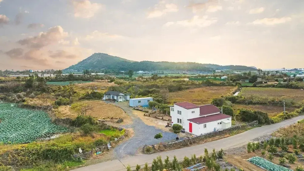 Jeju orsirok dogchaepension
