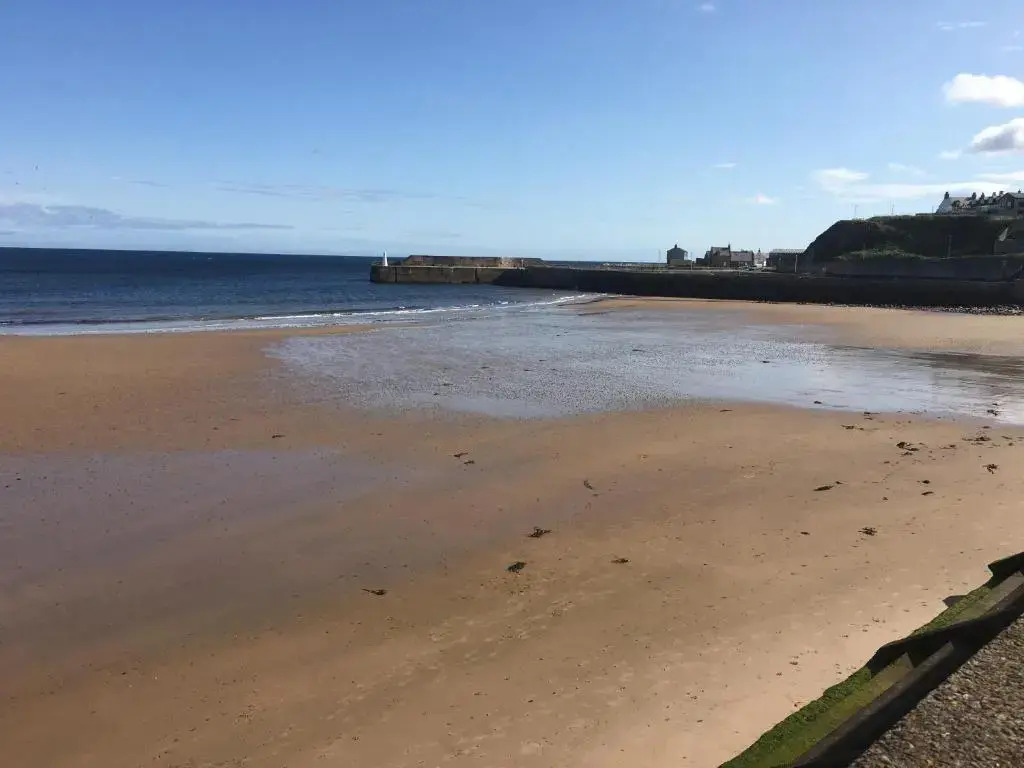 Zen Cottage Cullen - Sleeps 4 Garden & Pets Ok