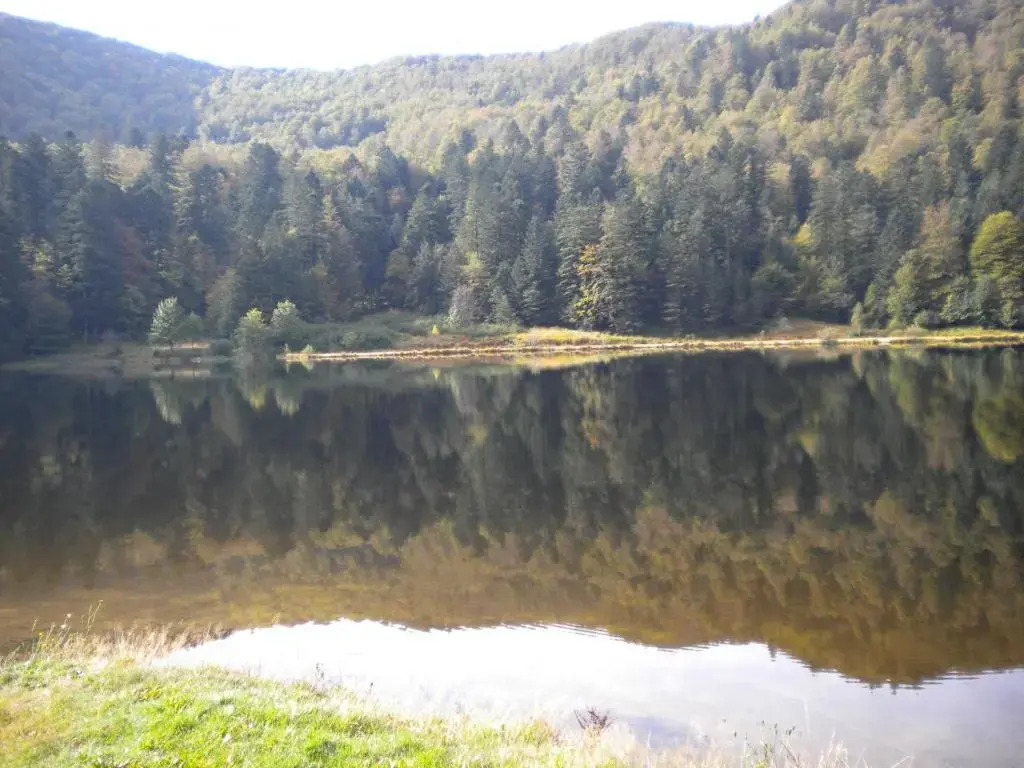 Chalet cosy proche de Gérardmer et Colmar - Nature, WIFI, 2 chambres, terrasse, garage - FR-1-589-306
