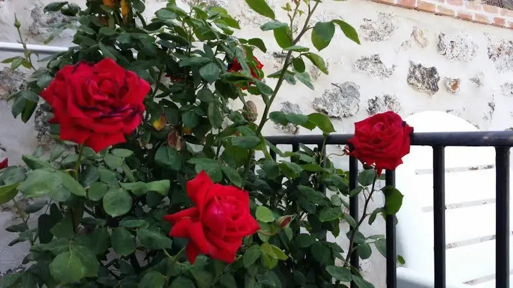 Hostal Chinchon