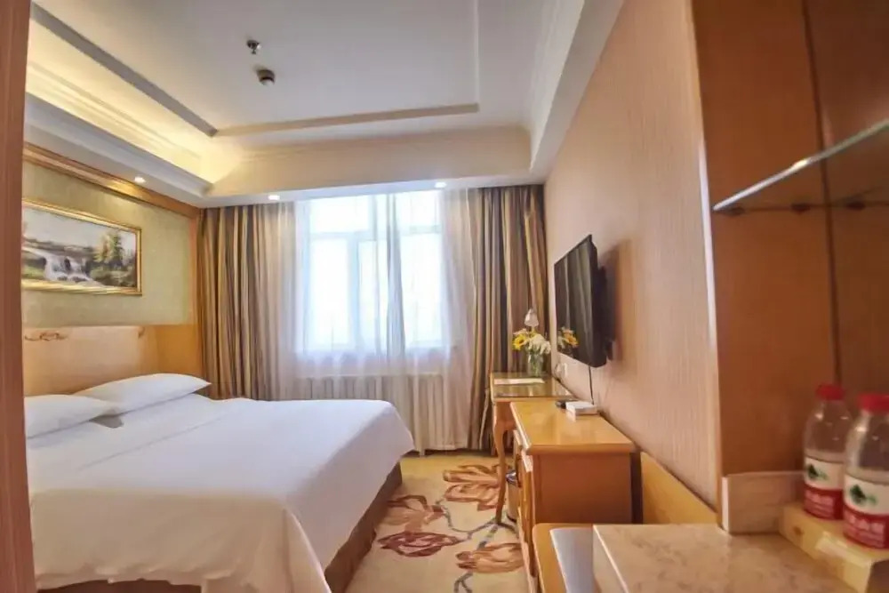 Vienna Hotel