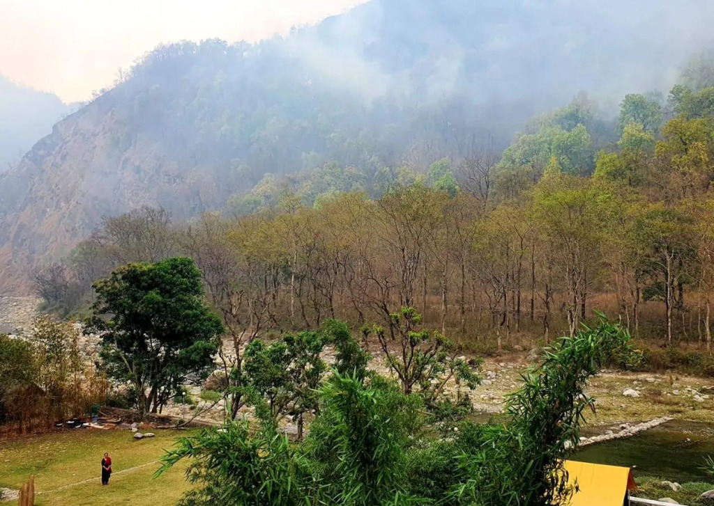 Howard Sanctuary Rishikesh