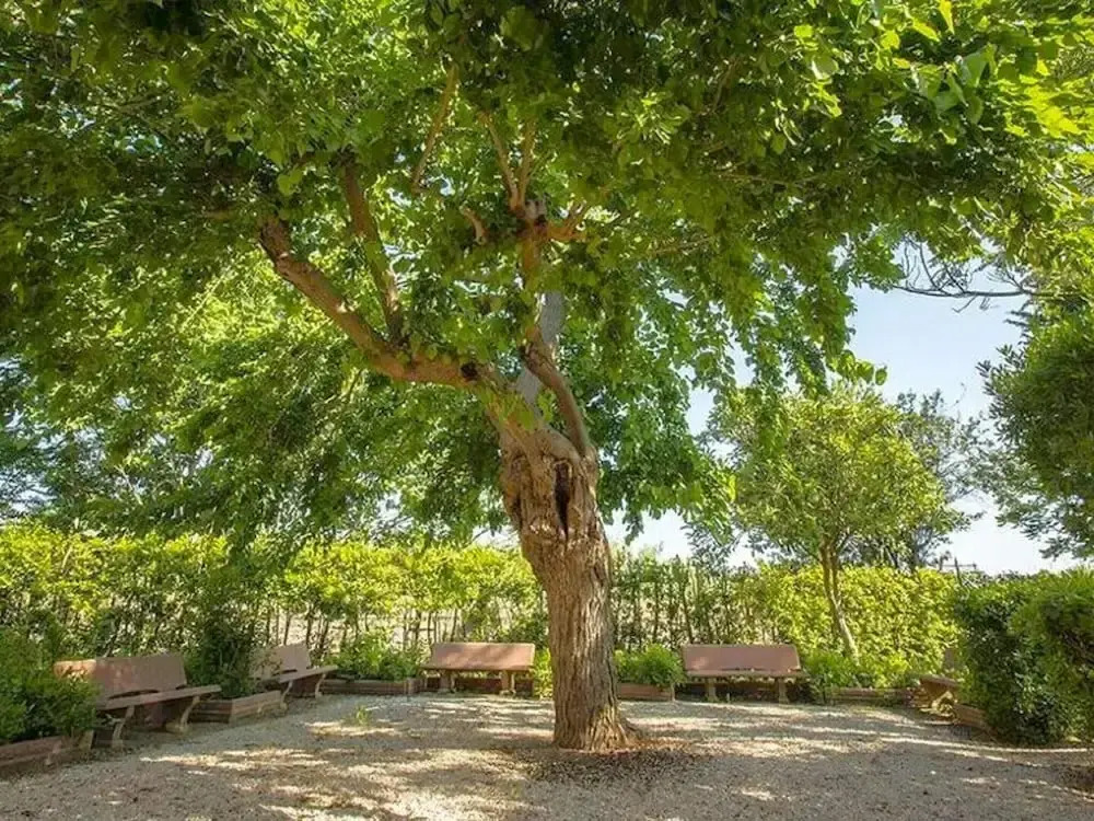 Apartment in Bolgheri Near Tuscan Beaches