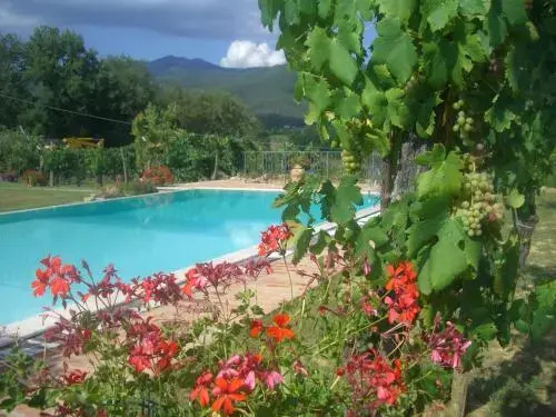 Podere Piandarca
