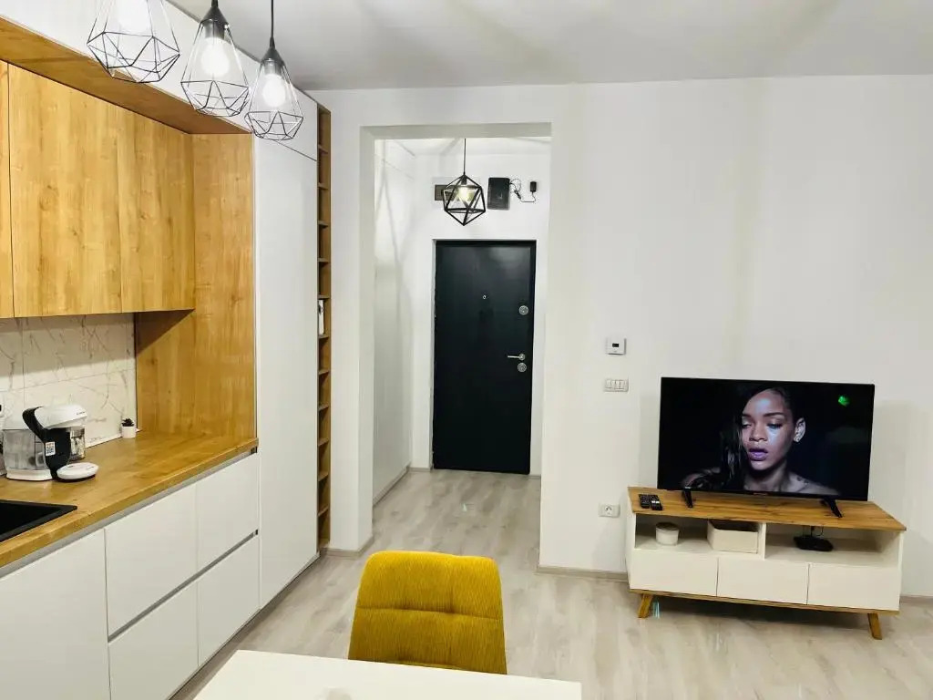 Apartament 1 camera