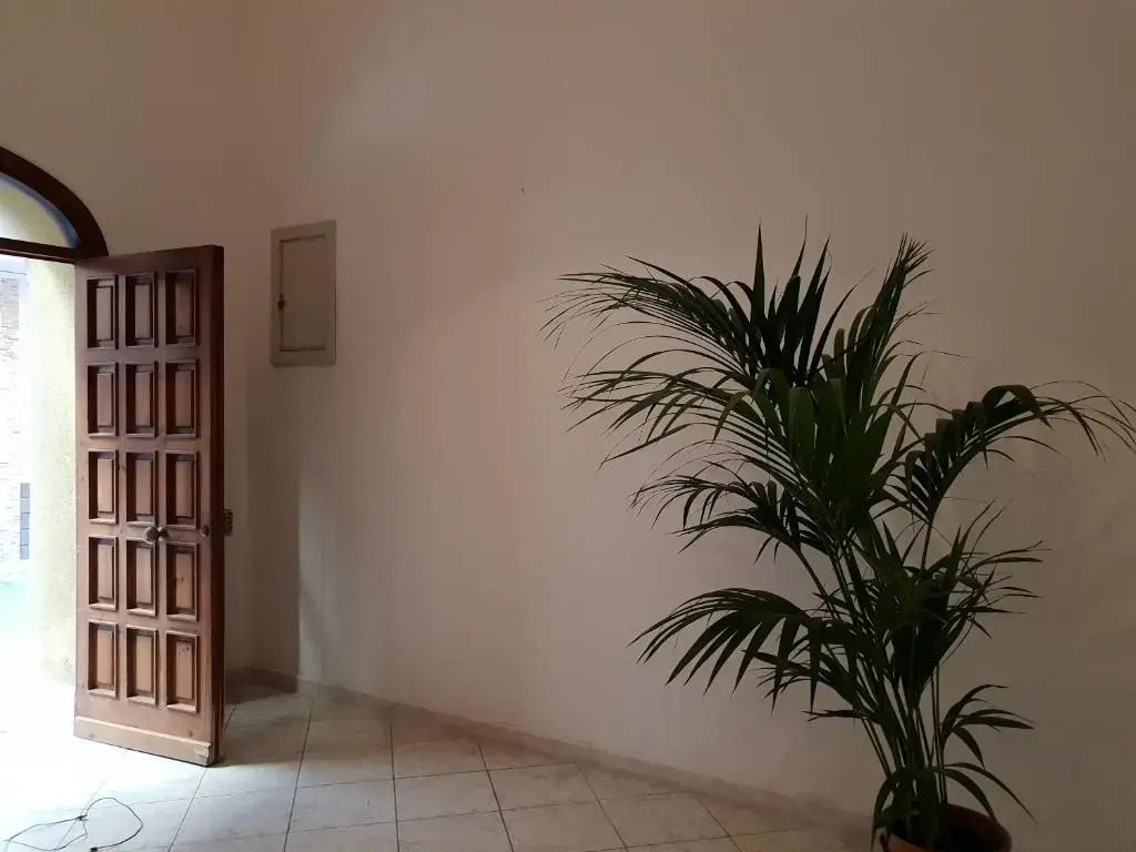 Il Centro Sui 1000
