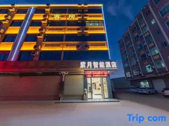 Ziyue Smart Hotel (Shuikou Dongjiang Industrial Park)