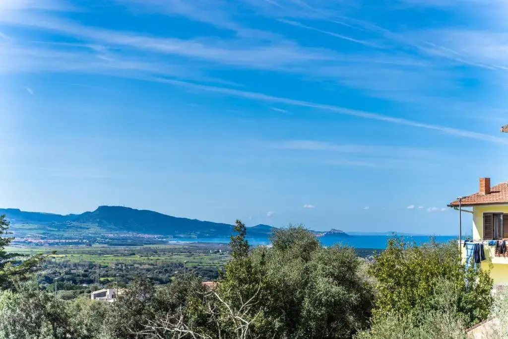 Welcomely - Dei Mille - La vigna 3