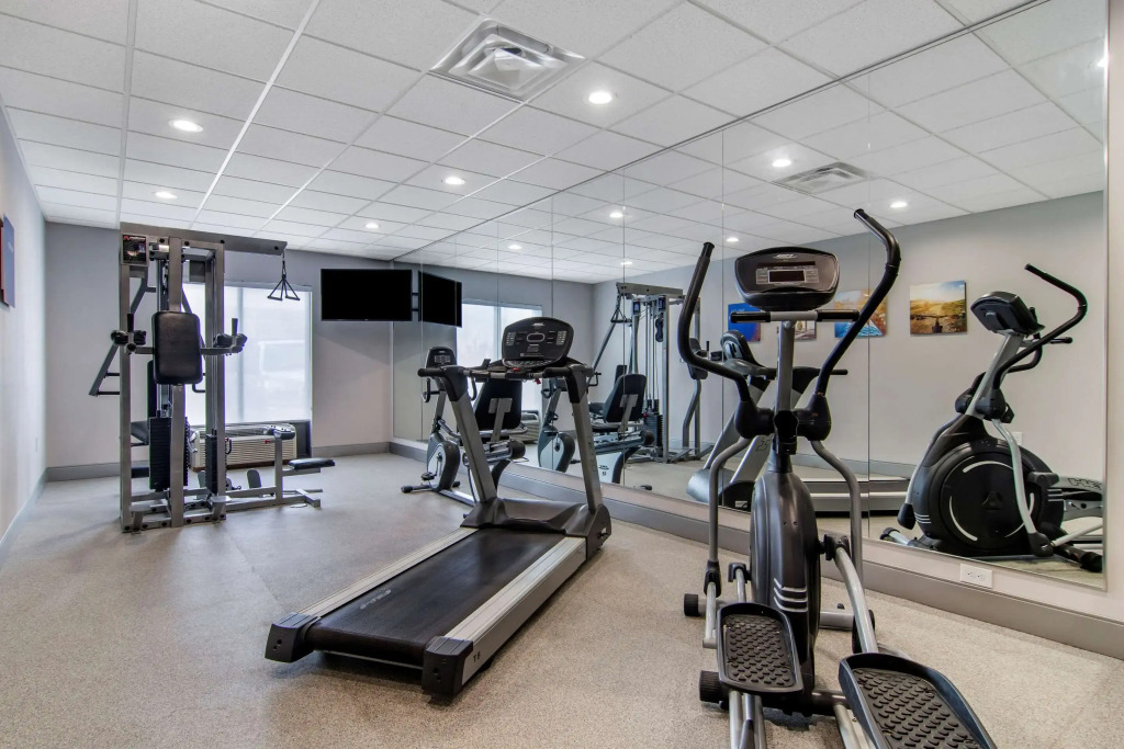 Comfort Suites McDonough Atlanta South