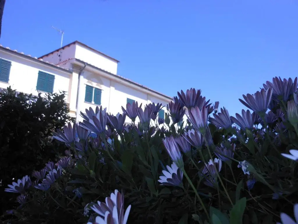 Il Lido