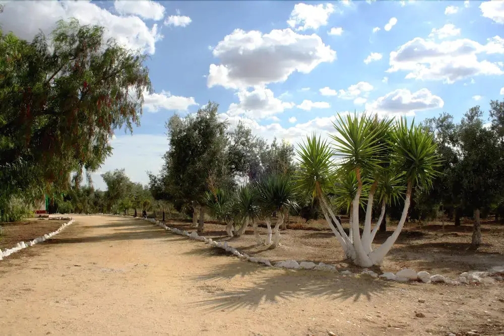 Cortijo Pedrera