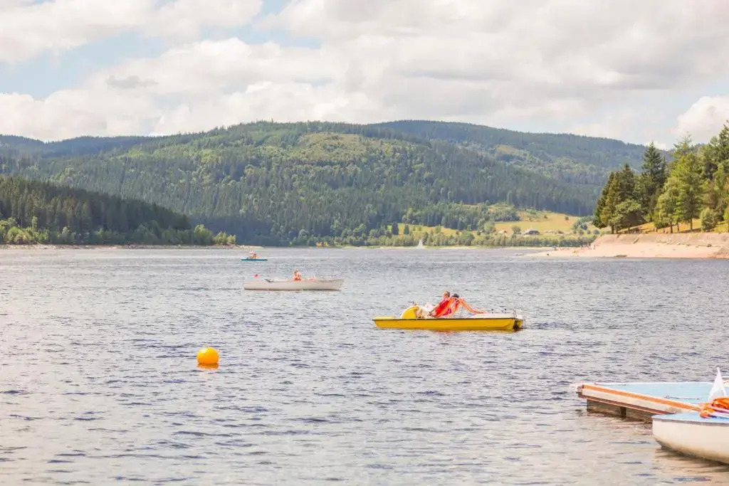 Kurhotel Schluchsee App 1511 - Schwarzwaldhirsch -mit Indoorpool Schluchsee