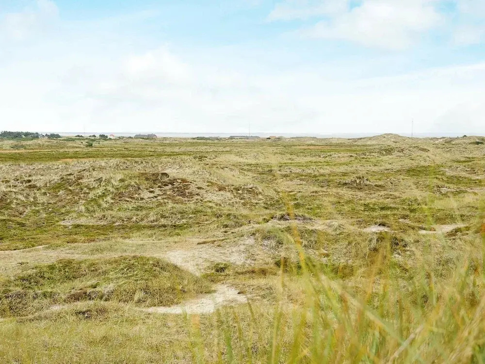 Serene Holiday Home in Ringkøbing Near the Sea