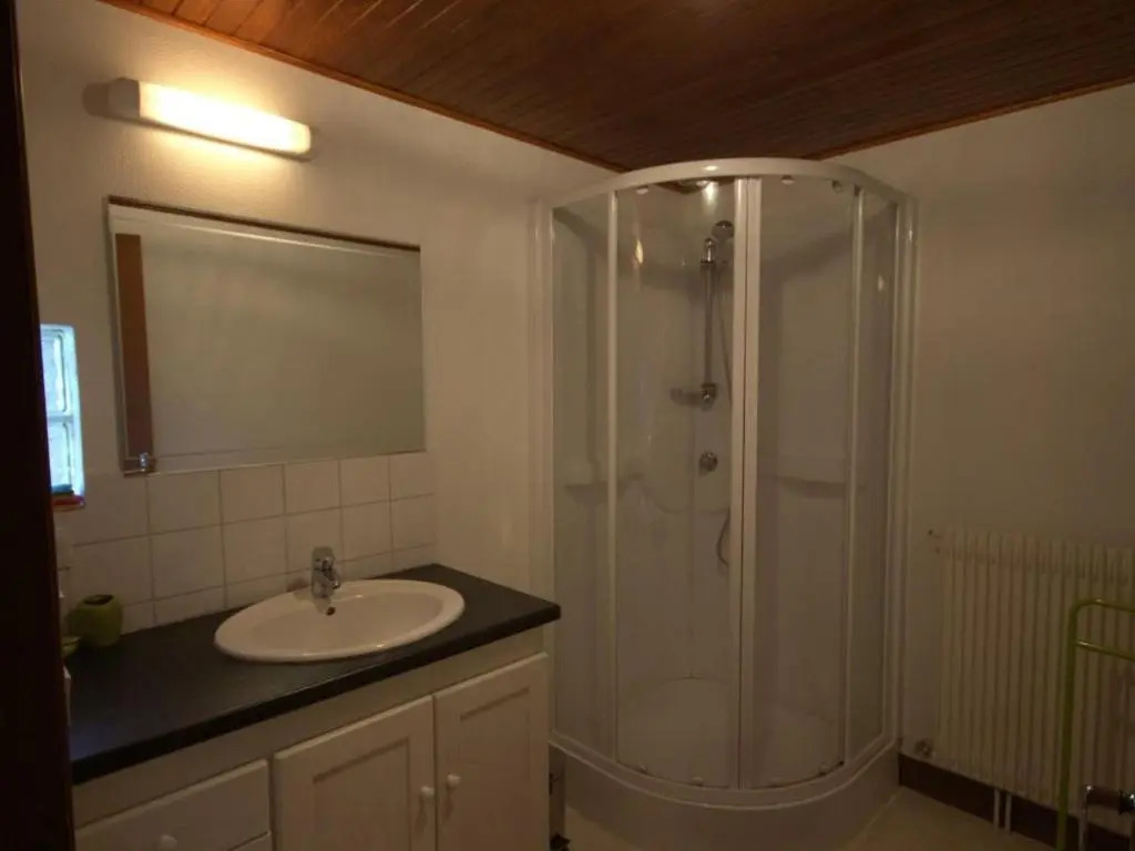 Gîte confortable, animaux admis, proche ski et randonnées - FR-1-496-199