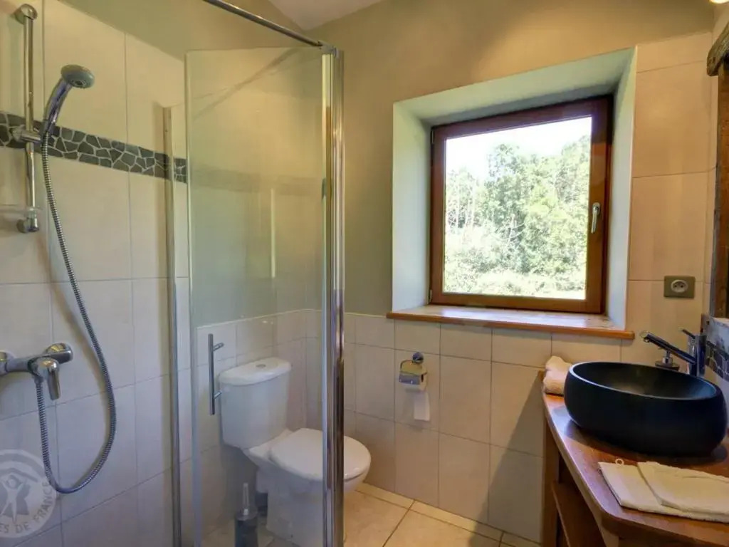 Gîte spacieux avec piscine privée, animaux acceptés - FR-1-496-25