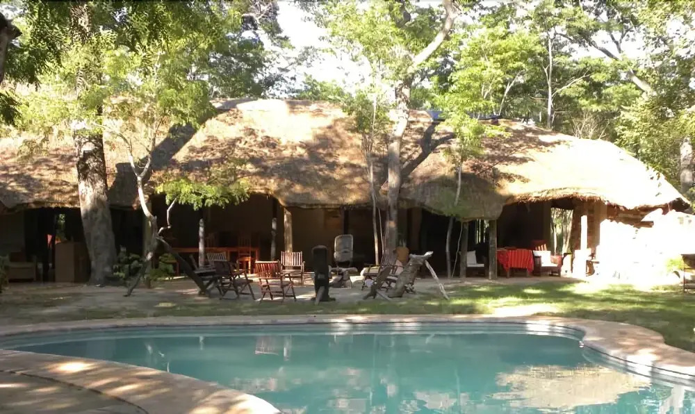 Miombo Safari