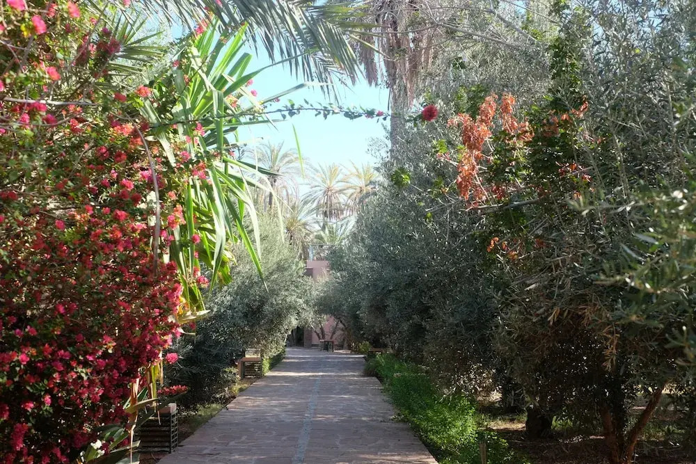 Eden Palm Resident Palmuraie