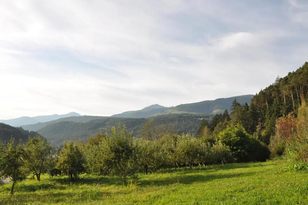 Falkenau