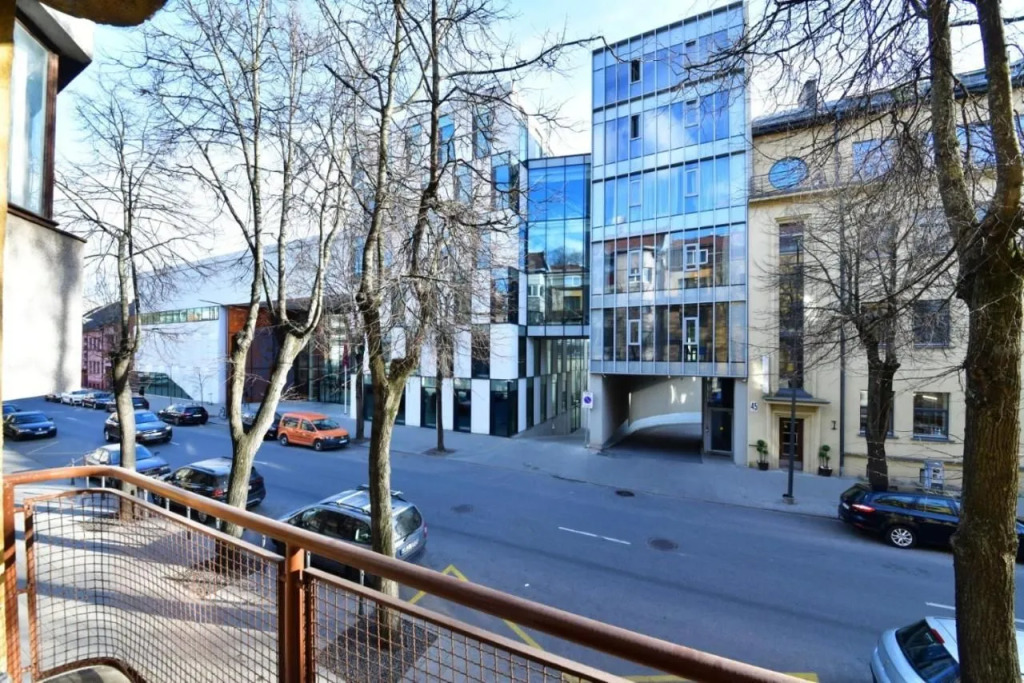 Luxury Central Apartment in Putvinskio street