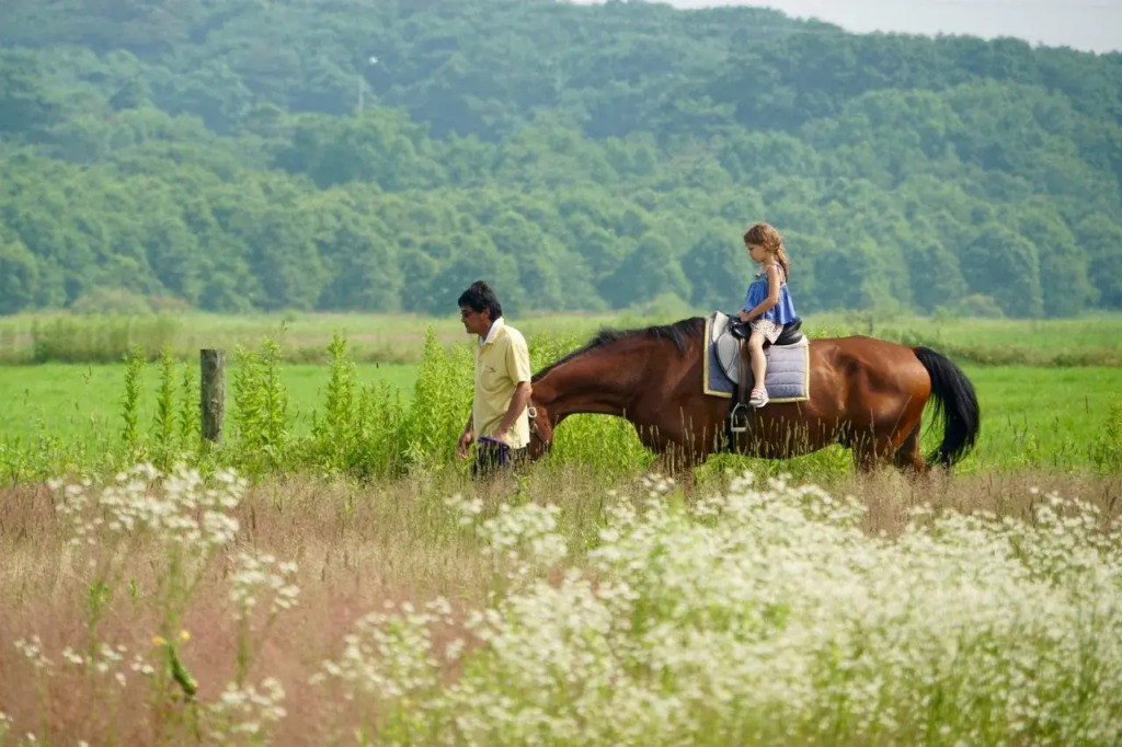 The Orchards Niseko
