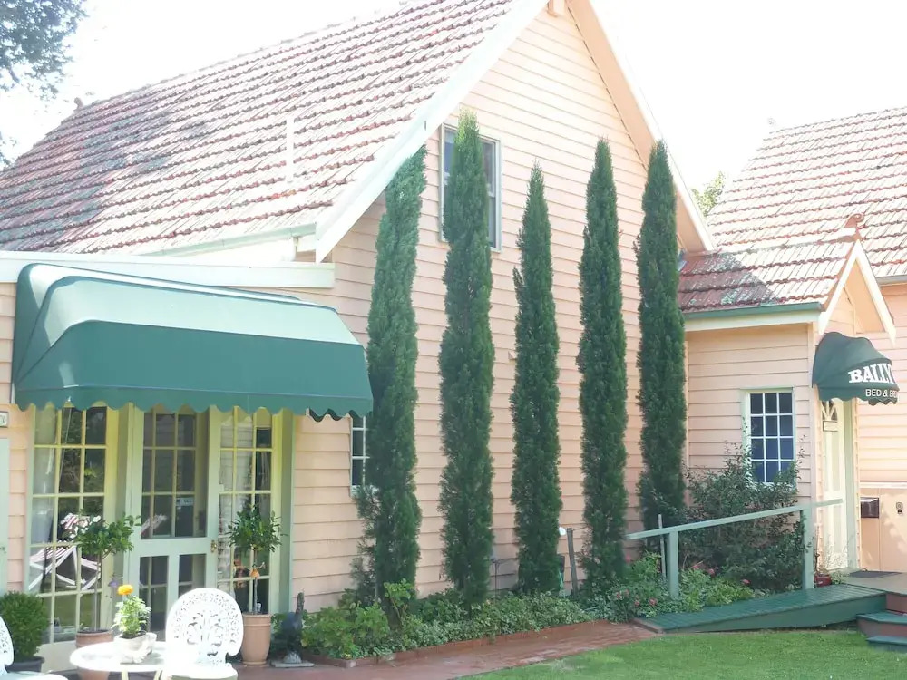 Dalfruin B&B