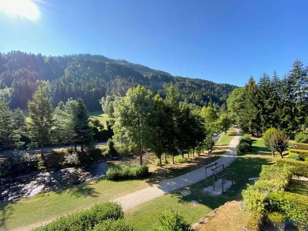 Appartement Le Grand-Bornand, 2 pièces, 6 personnes - FR-1-241-131