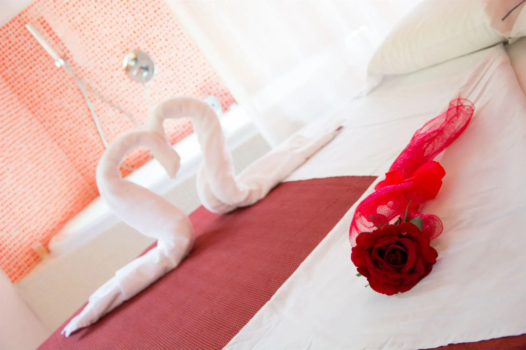 Minihotel IRIS