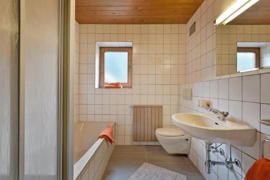 Apartment Alpin
