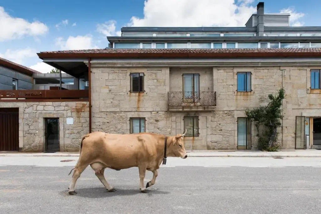 Hotel Spa Vilavella