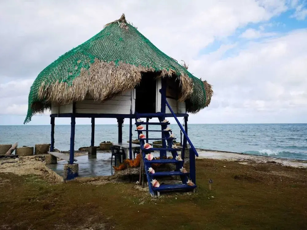 Isla Múcura Dahlandia