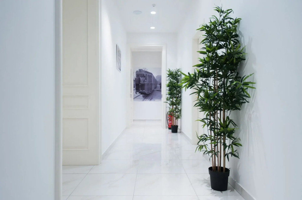 Dolac one apartments