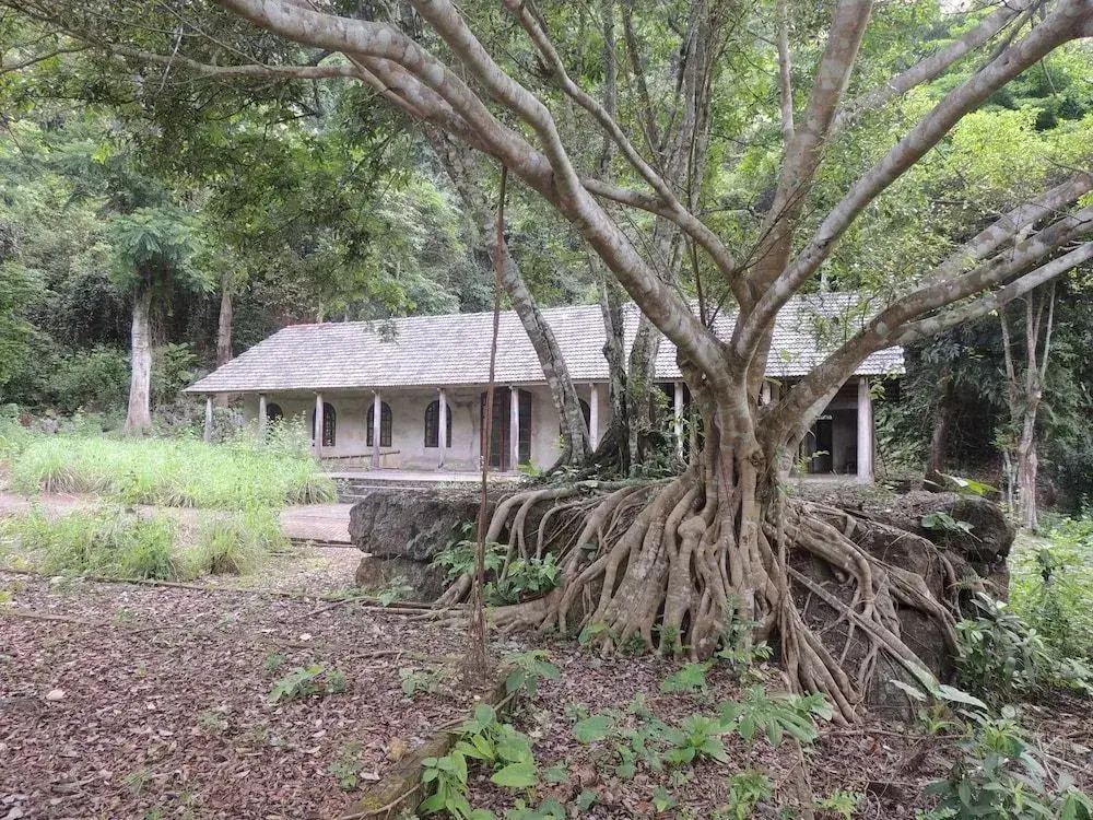 The Ancient House