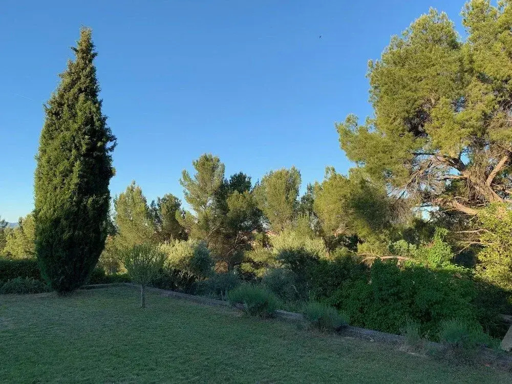 le Mas des Pignes