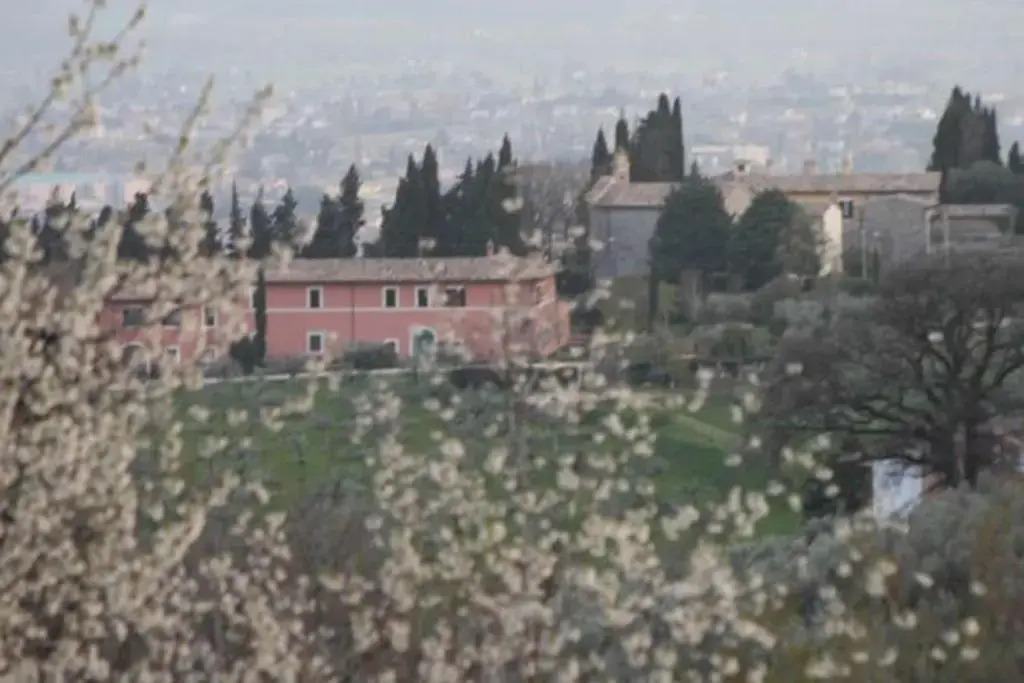 C&C Il Treggio