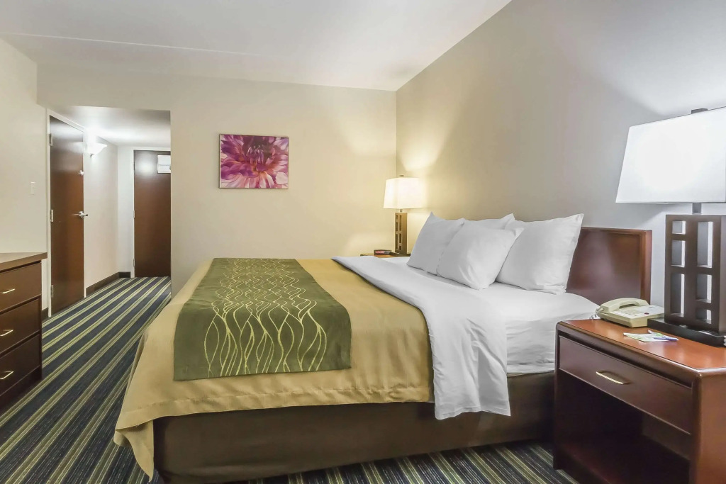 Comfort Inn & Suites