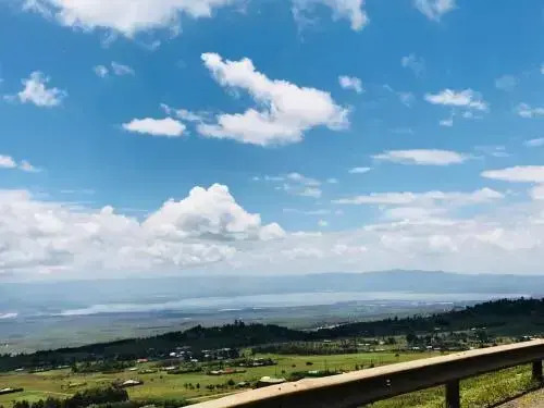 Kambi Amani