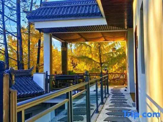 Tengchong Ginkgo Village Bomu Boutique Homestay