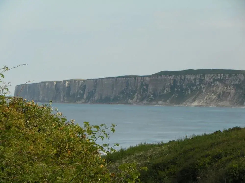 Nett's Coastal Escape