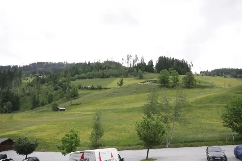 Muhlbach 345b