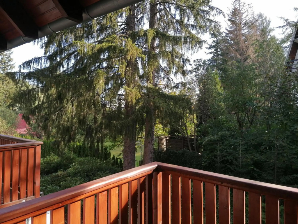 Apartament Bambusowy