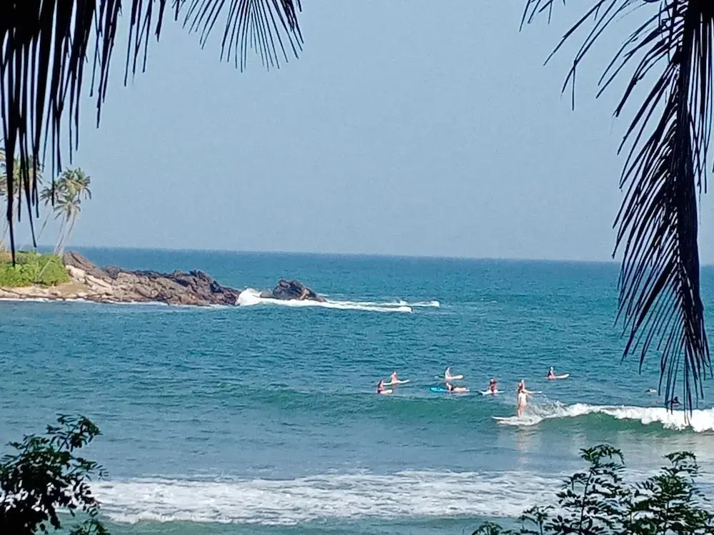 Surf Paradise