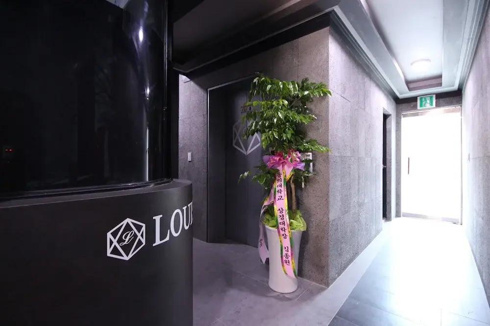 Louis Hotel